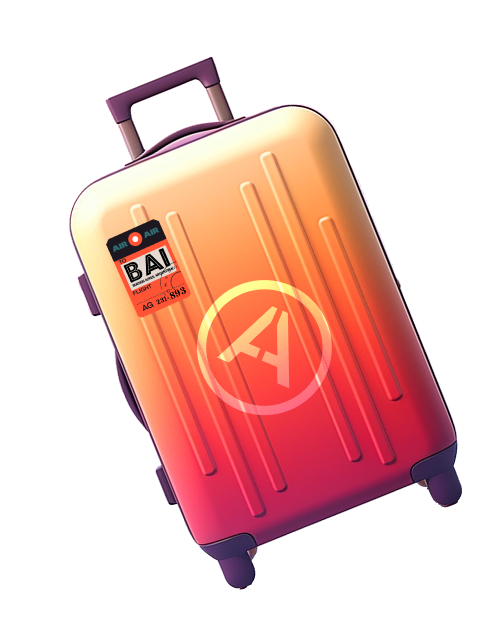 Travel luggage